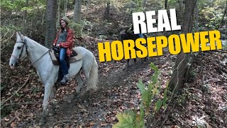 Off the Beaten Path -- Real Horsepower, Real Adventure #adventure #hiking #kentucky