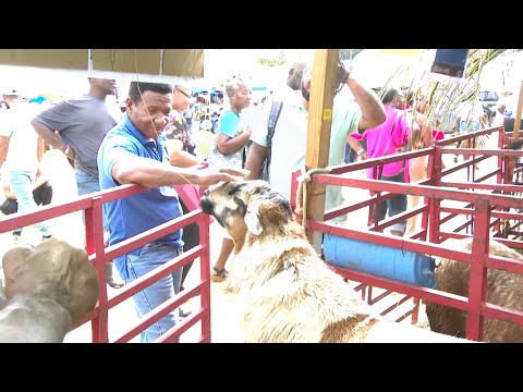 Call for Agrofest to be placed on tourism calendar