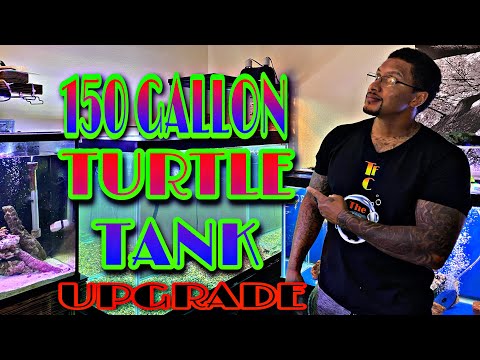 **150 GALLON** TURTLE TANK UPGRADE!