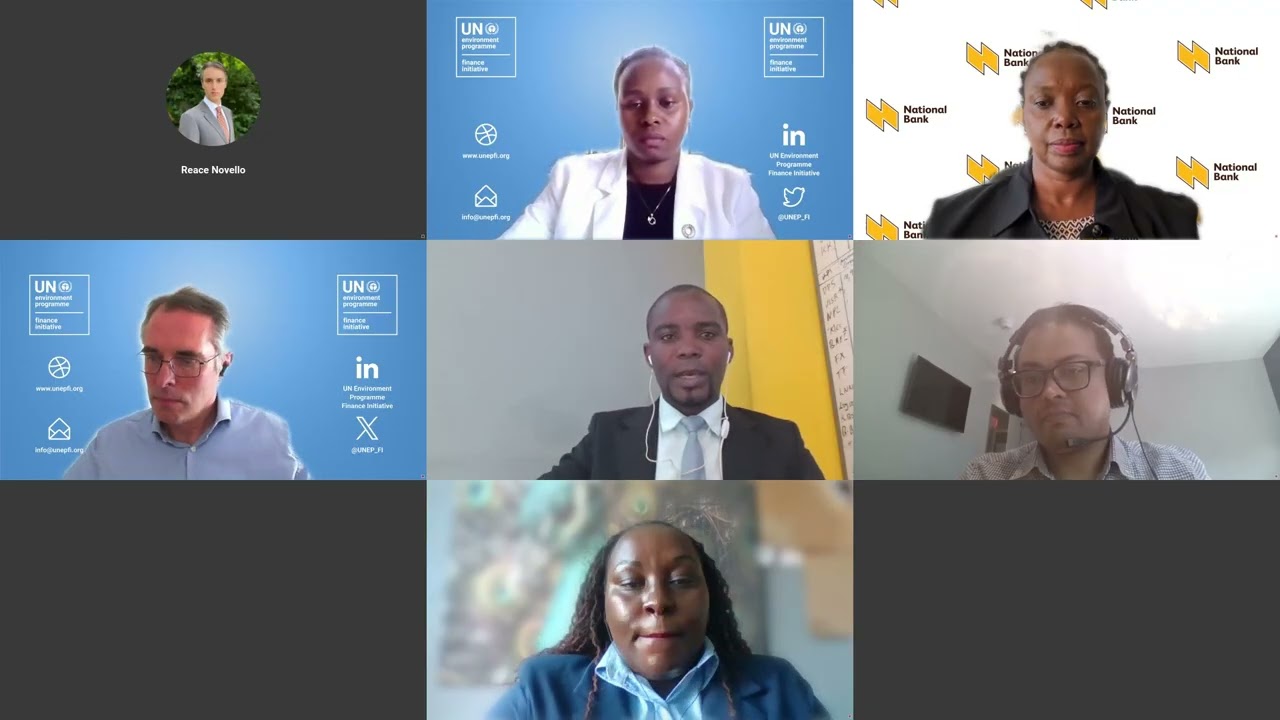 A Lens Into Climate Risks, Resilience and MSMEs: Insights for Banks and Insurers | 5 March 2025