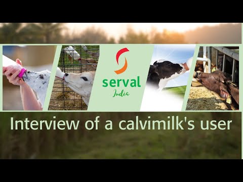 Calvimilk - calves milk replacer cmr