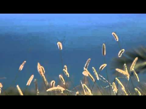 Whirlwind in Autumn -  Fariborz Lachini(연습)