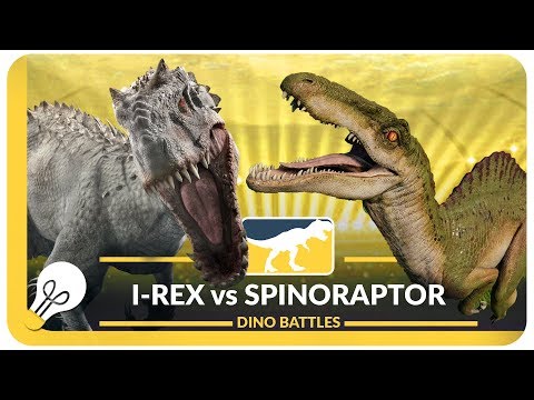 Indominus Rex VS Spinoraptor (Modified) | DIno Battle Bites Hybrid Battle