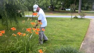 preview picture of video 'Lawn Services in Powder Springs, GA'
