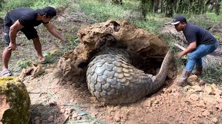 Download lagu MENGGEMPARKAN PENEMUAN HEWAN PALING LANGKAH DI DUNIA !!! mp3