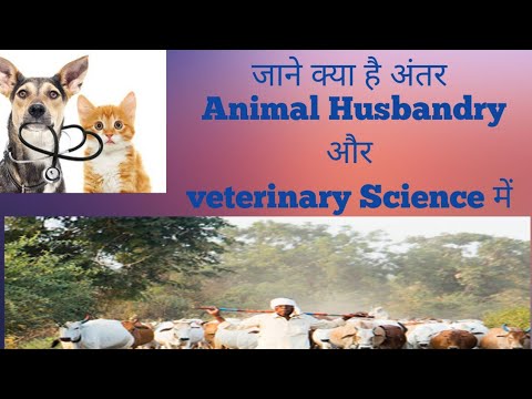 Dr. Sara May, Allergy and Immunology