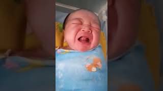 Download lagu bayi nangis lucu gemes mp3