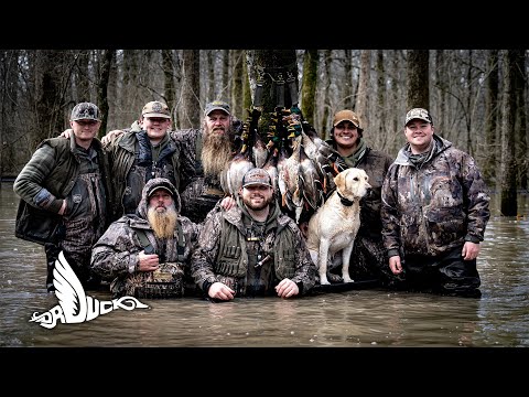 Five Man Limit Of Mallards In The Trees | Dr Duck