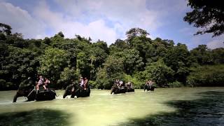 preview picture of video 'Wonderful Indonesia : Trekking'