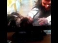 720pHD Karrueche Tran In 3 Headed Shark Attack
