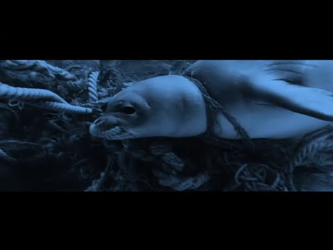 FONTIAC - Exitium (Maestral Documentary OST)