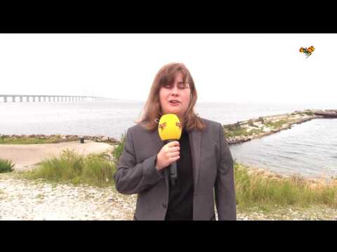 Kvinna saknas efter ubåtsincident - Detta har hänt