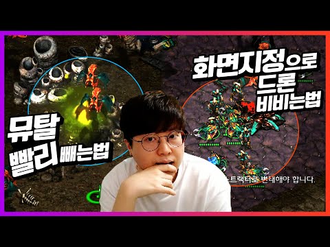 Essential Tips for Terran and Protoss Matchups｜Zerg Tutorial