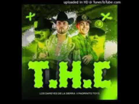 Los Dareyes De La Sierra & El Padrinito Toys - T.H.C. (Corridos 2023)