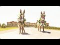 Tour the Vineyard with Donkeys