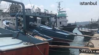 İstanbul | Sarıyer Liman #liman #istanbul #life #reels #balıkçılık #sarıyer #boat #tekne #live