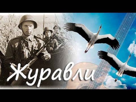 Журавли / Cranes / Zhuravli : Николай Землянских и Борислав Струлёв