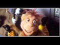 Deep In The Jungle Short Version Joe Scruggs Ants In Your Pants