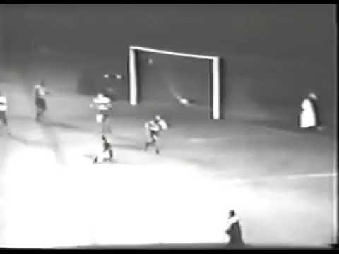 Amarildo Tavares (Botafogo) - 20/10/1962 - Botafogo 2x0 Olaria - 1 gol