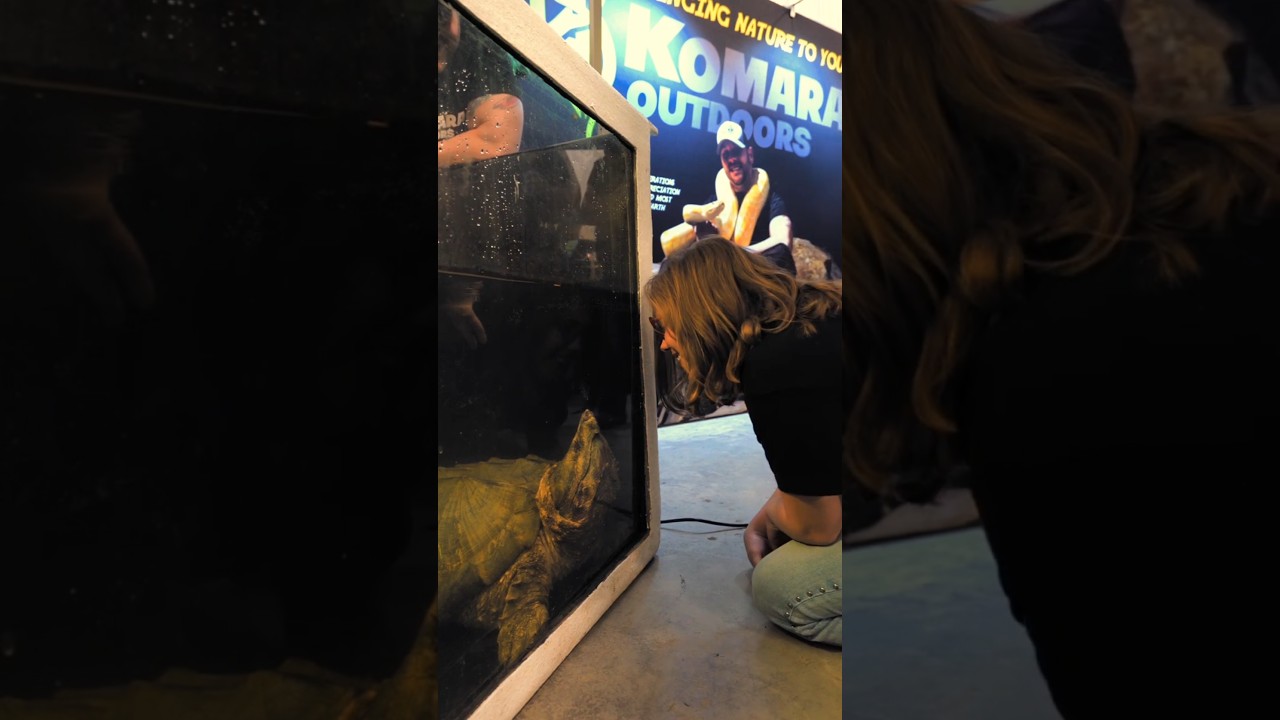 Promotional video thumbnail 1 for KomaraOutdoors Reptile Education Program