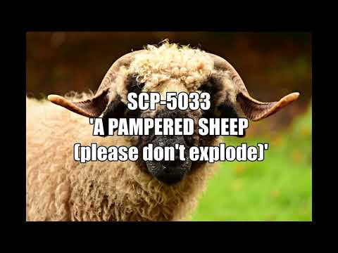 SCP - 5033 'A Pampered Sheep (please don't explode)'