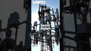 Download lagu Communication Revolution Through Satellites #facts #countriesintheworld #uniquefacts #magic mp3 Download lagu Communication Revolution Through Satellites #facts #countriesintheworld #uniquefacts #magic mp3