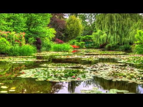 Musica Calma de Meditacao e Relaxamento - 3 Horas de Melodias Tranquilas, Sons da Natureza e Agua
