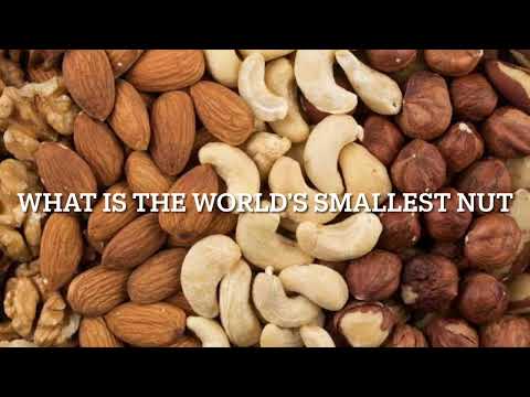 What is the world’s smallest nut