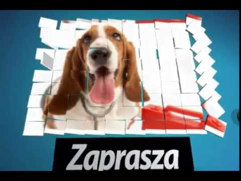 Kulturystyka wideo ćwiczenia z hantlami Vastus boczny