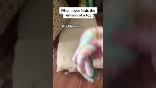 Oh No It’s Melanie #shorts #dog #pets #americanbully #cute #funny #pitbull