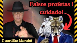 ⚠️ Os Falsos Profetas, CUIDADO ⚠️ #espiritualidade #verdade #sabedoria