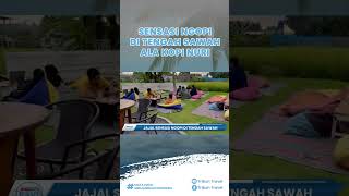Tempat Wisata Kuliner di Sukoharjo, Ada Kopi Nuri yang Tawarkan Sensasi Ngopi di Tengah Sawah