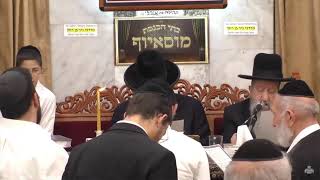 הרב בן ציון מוצפי  •  פסח שני  • פרשת אמור אייר תשפ"ג