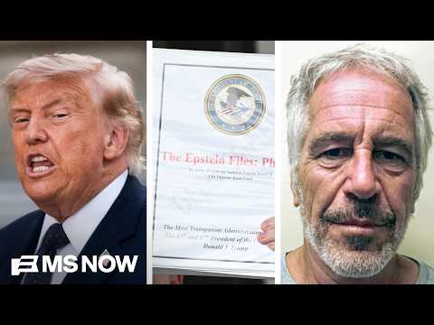 Why Trump CAN’T ESCAPE the Epstein Files revealed in new book ‘Regime Change’