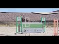 Hongre 4 ans Polyvalent 170 
