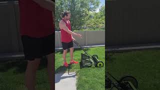 SunJoe Push Mower