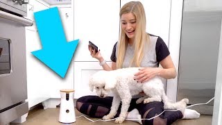 🐶 iPhone Dog Treat Tosser!