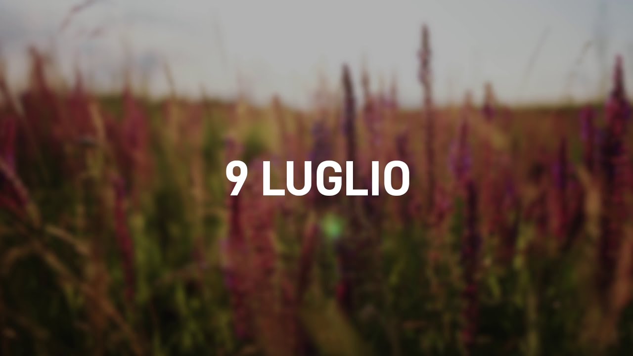 9 Luglio 2025 | Meditazione Parole di Vita