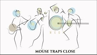 Mouse Traps Close