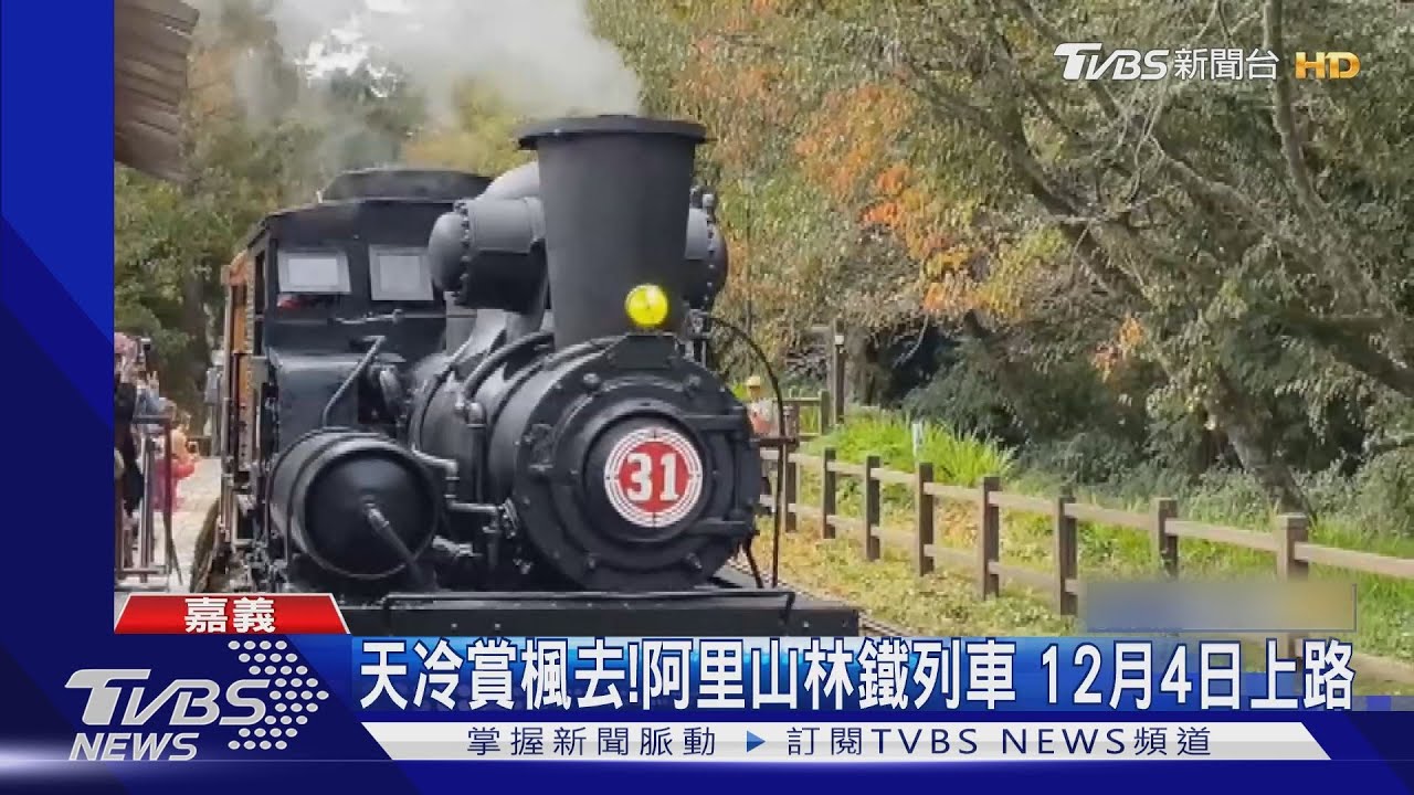 天冷盼楓紅!阿里山林鐵賞楓列車 12月4日啟動