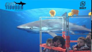 DIA 3 Expo Tiburon104