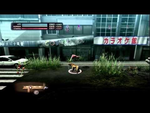 Tokyo Jungle Survival Episode 63 - The Bear's Pupil