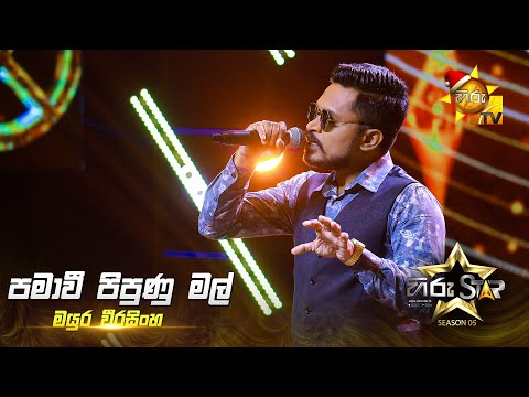 Pamawee Pipunu Mal (පමාවී පිපුණු මල්) | Mayura Weerasinghe | Hiru Star Season 05 🎙💥