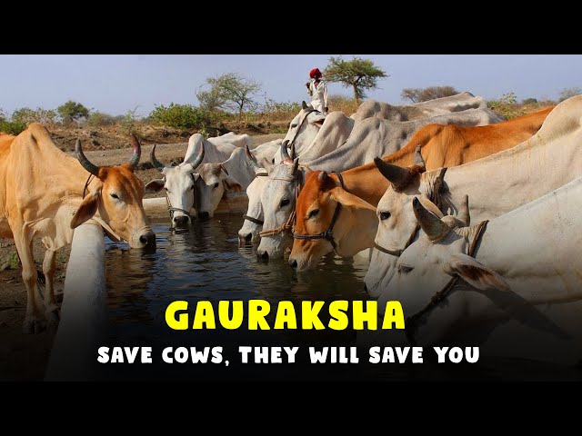 About Krishnayan Video Thumbnail