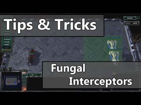 Did You Know? Fungal Interceptors