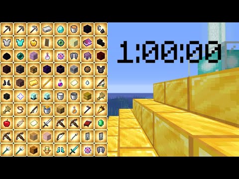 Minecraft All Advancements in 1 Hour | TAS | 1.16 AA SSG