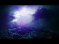 Brian Eno & Harold Budd - An Arc Of Doves [300% slowed]