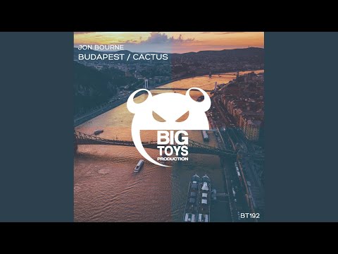 Cactus (Original Mix)