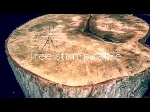 DIY Tree Stump Table, harvesting and construction