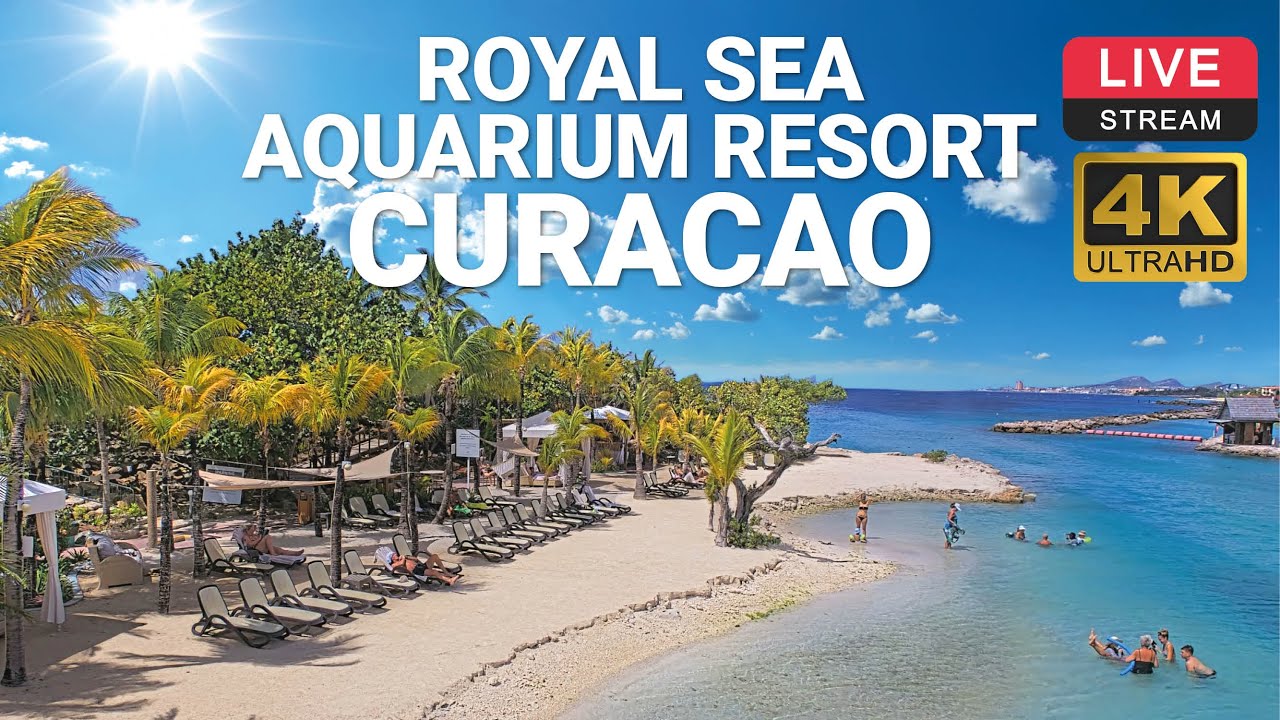 The Royal Sea Aquarium Resort | Curacao 🌴☀️ LIVE CAM 4K